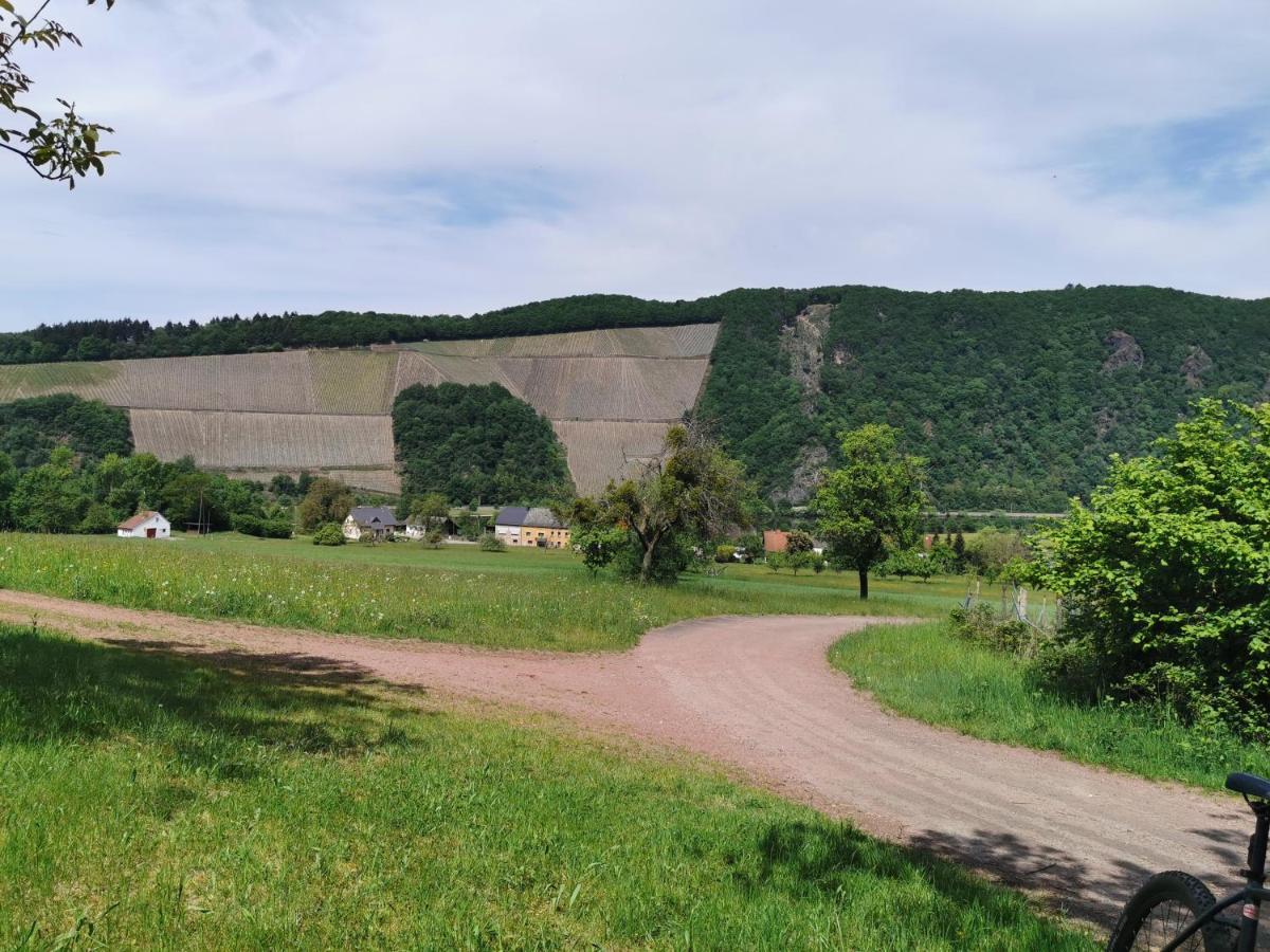 Gemuetliche 90 Qm Wohnung In Saarburg, Zentral Gelegen, Garten Mit Aussicht, Separater Eingang Εξωτερικό φωτογραφία